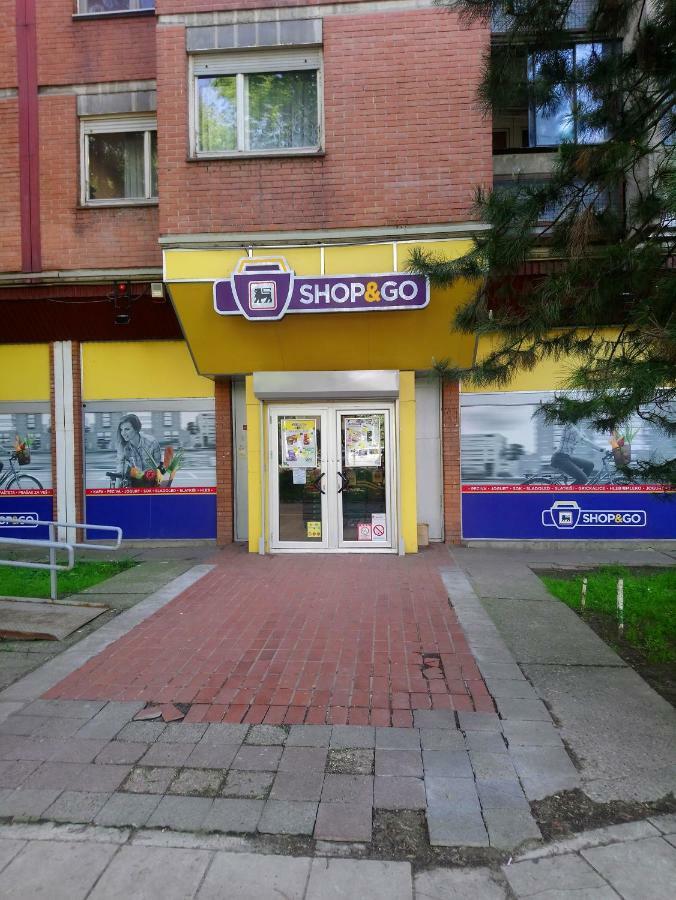 Bohemian Rhapsody Nbg Daire Belgrad Dış mekan fotoğraf